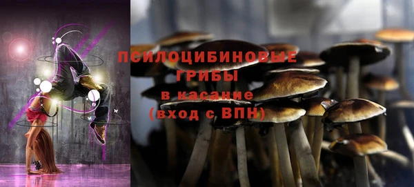 MESCALINE Надым