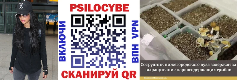 Купить где  Харовск  Псилоцибиновые грибы мухоморы 